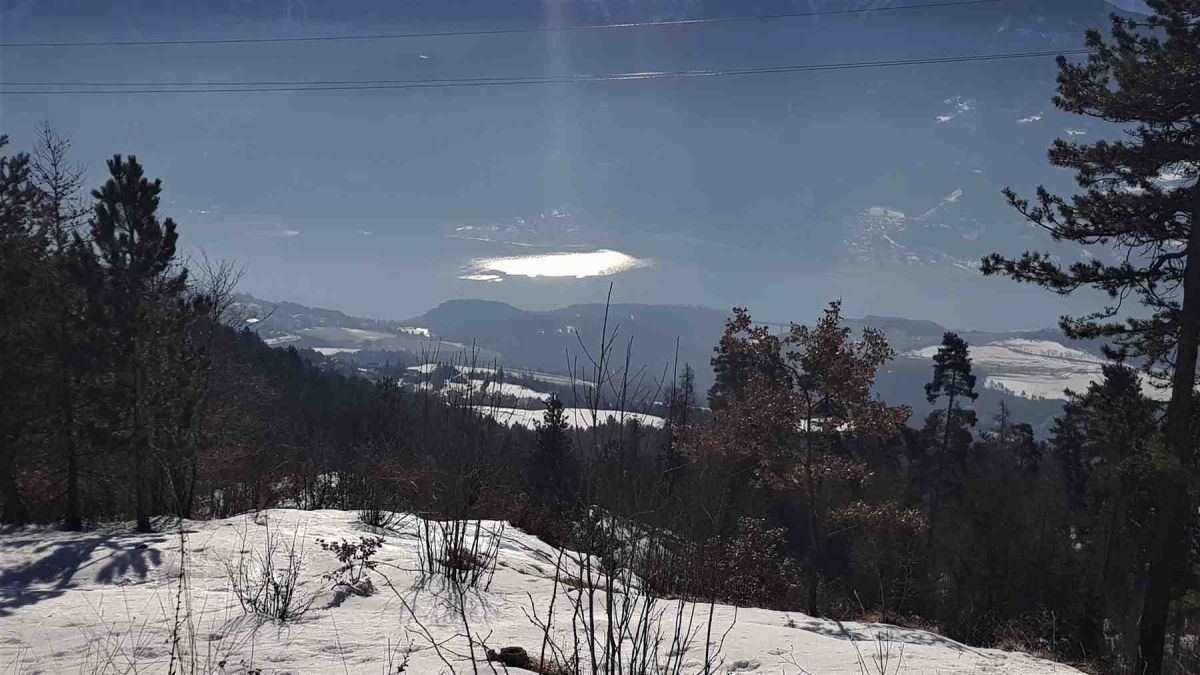 Reallon-20