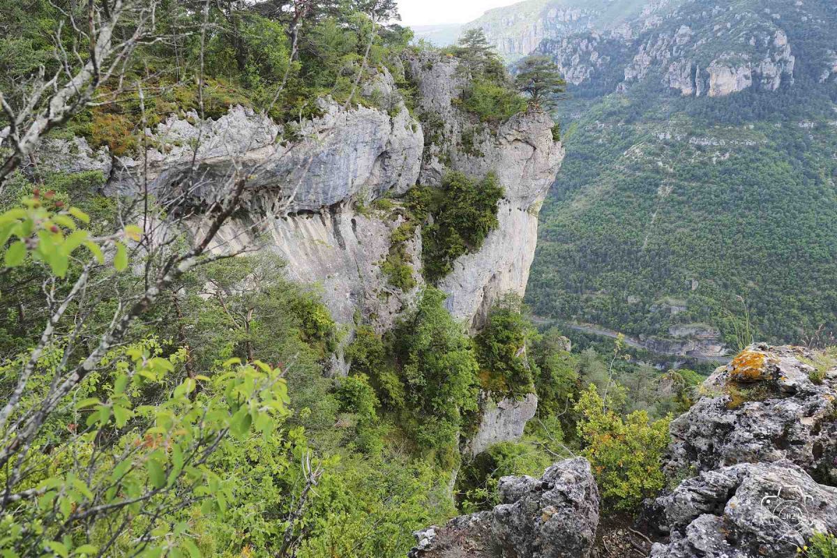Tarn-1er-juin-56