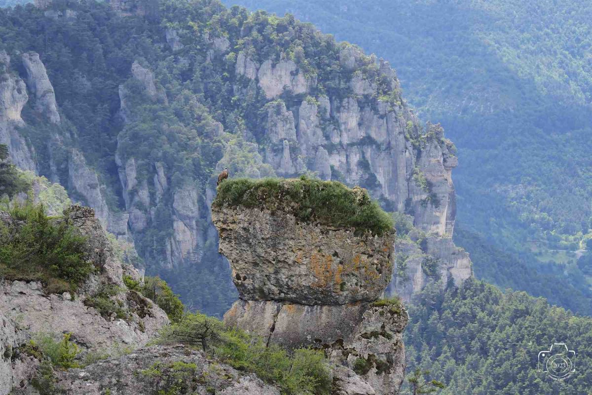Tarn-1er-juin-61