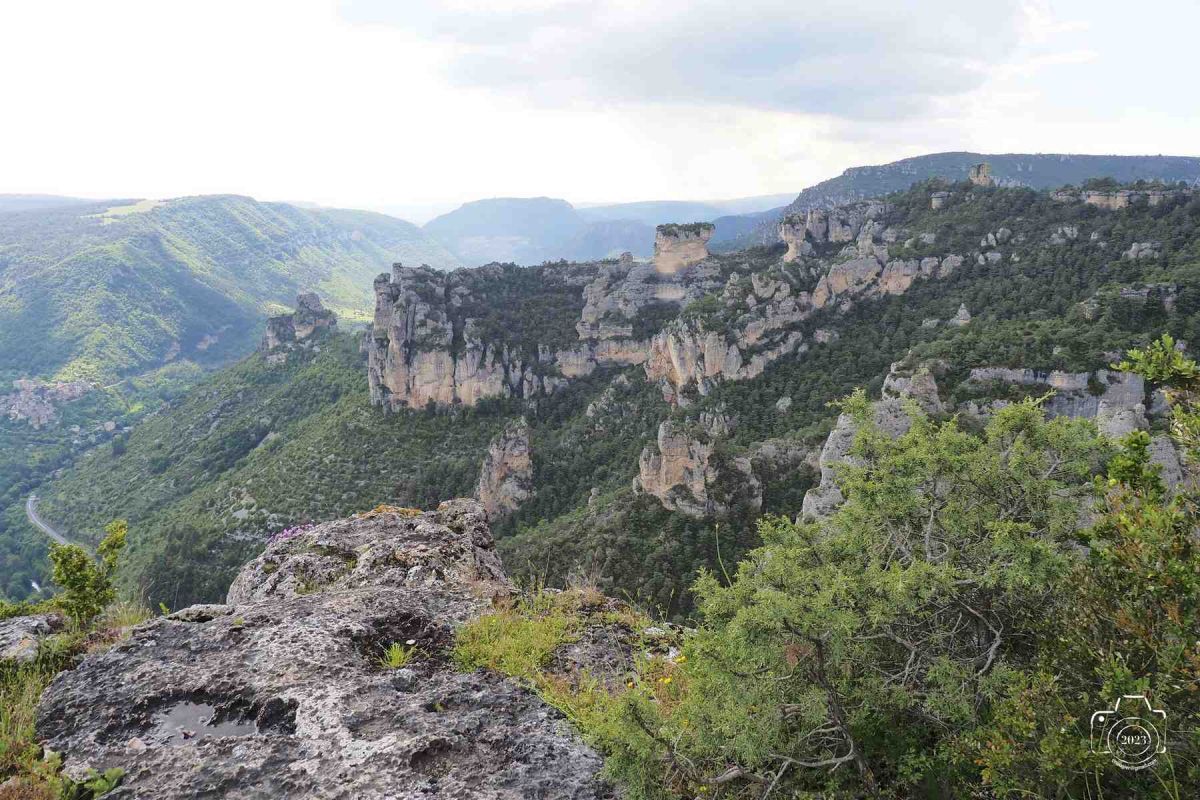 Tarn-1er-juin-79