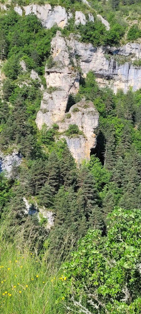 Tarn-301-mai-19