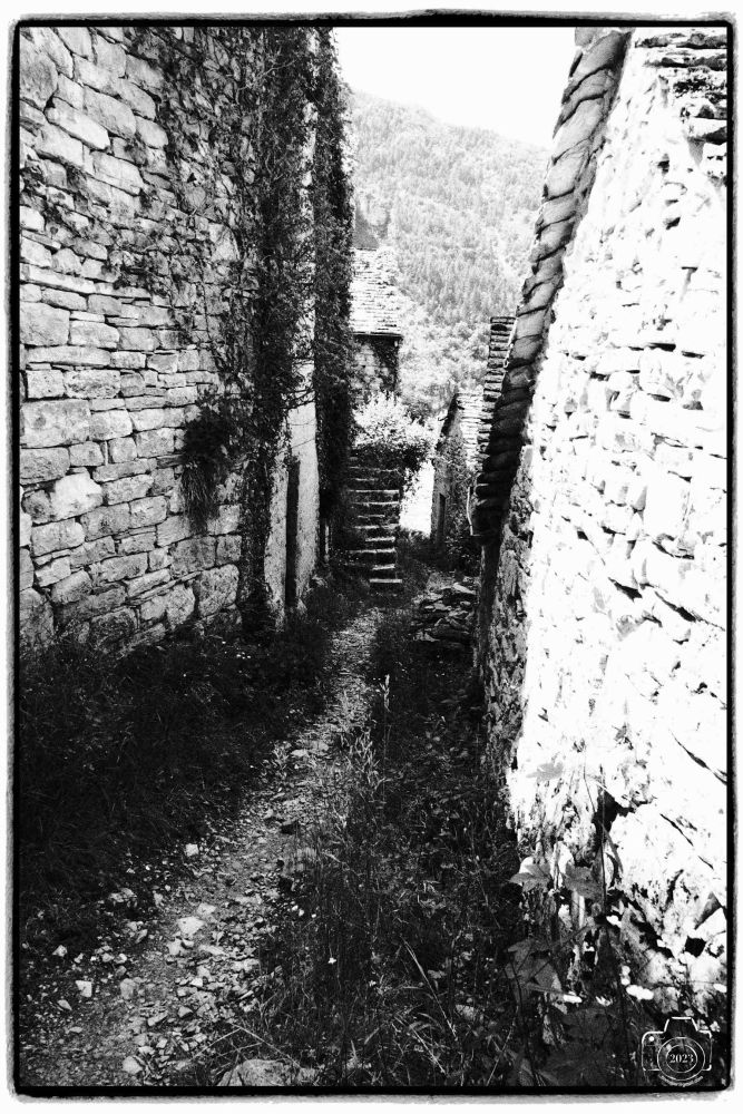 Tarn-301-mai-71