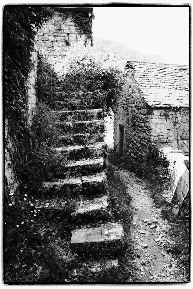 Tarn-301-mai-72