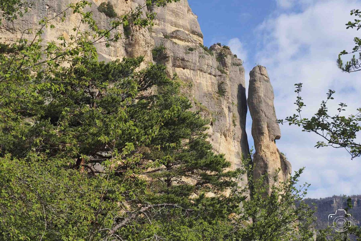 Tarn-2-juin-16