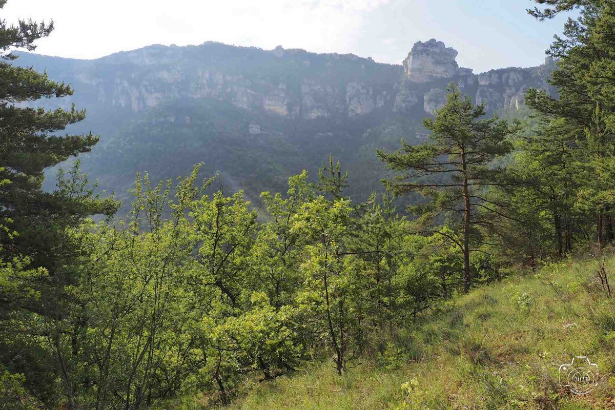 Tarn-2-juin-6