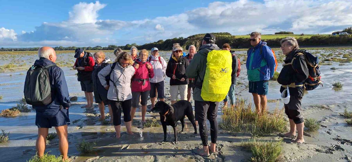Cotentin-AA-133