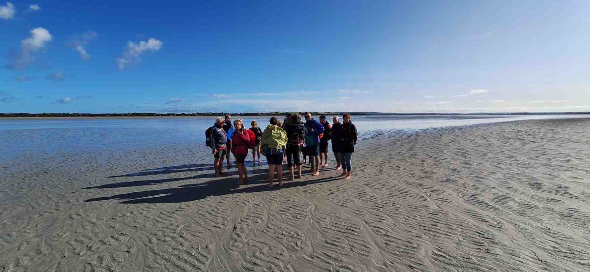 Cotentin-AA-136