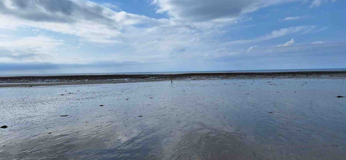 Cotentin-AA-18