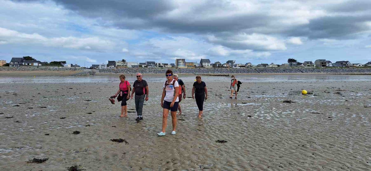 Cotentin-AA-19