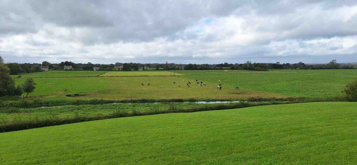Cotentin-AA-55