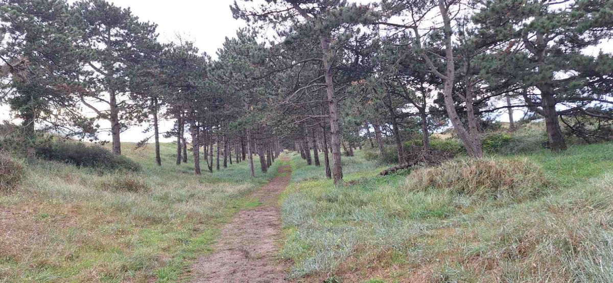 Cotentin-AA-7
