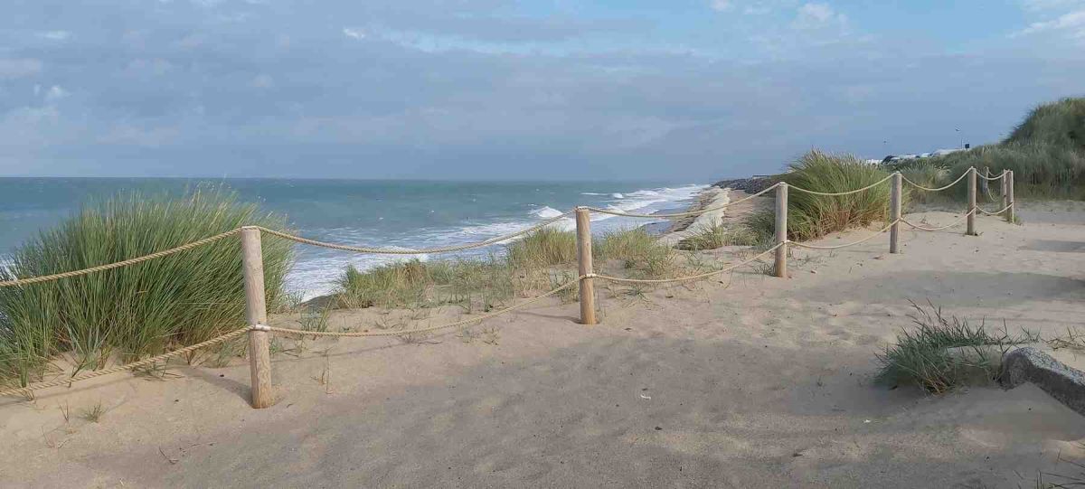 Cotentin-AA-94