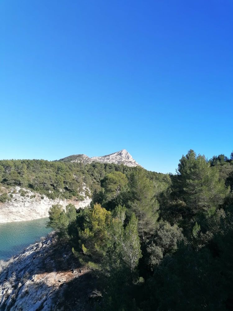 Bimont-Zola-4