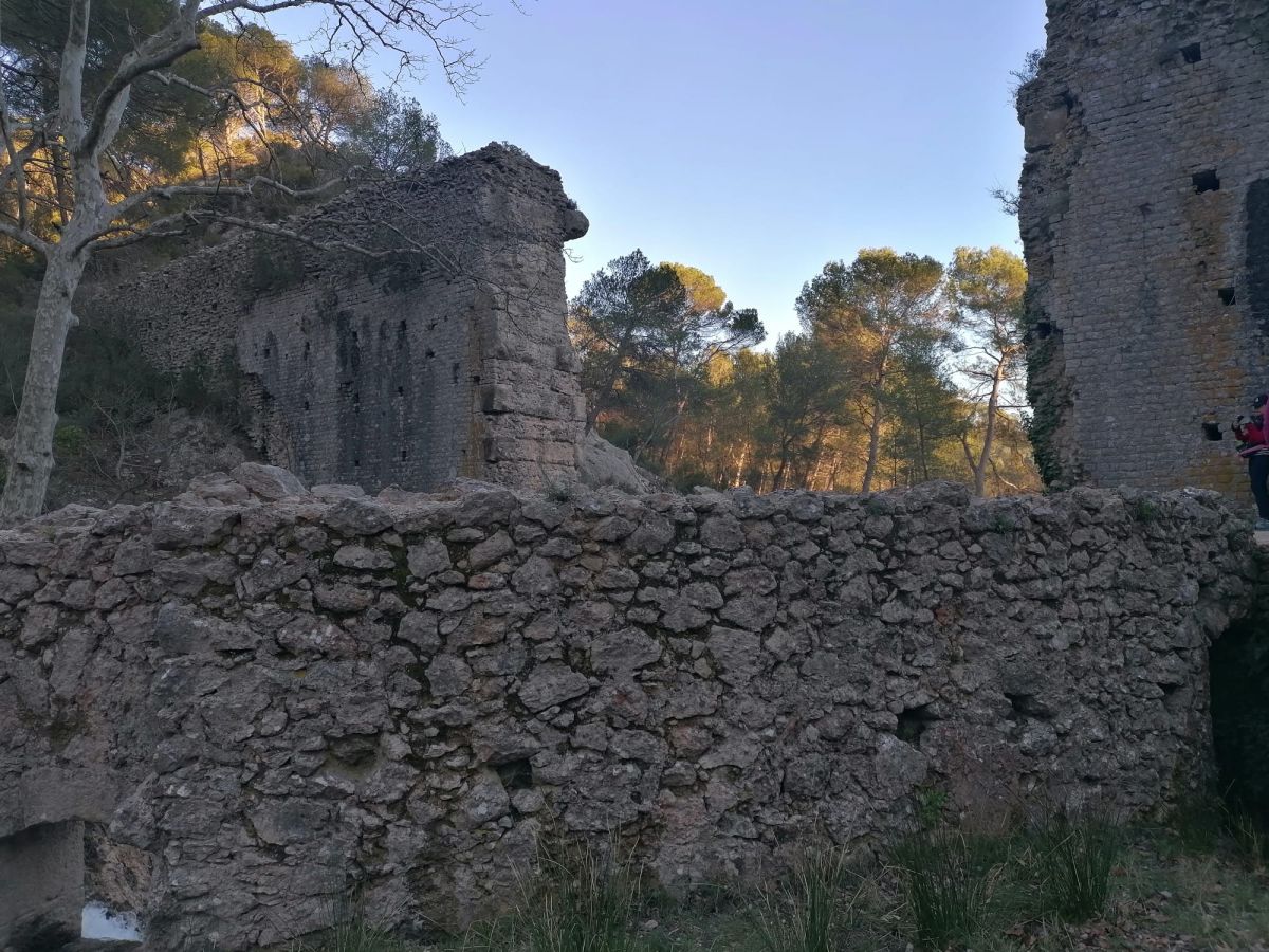 Bimont-Zola-6