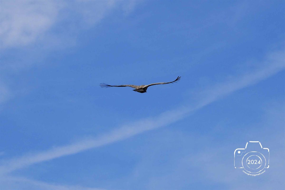 P5121235EM1MARK32024