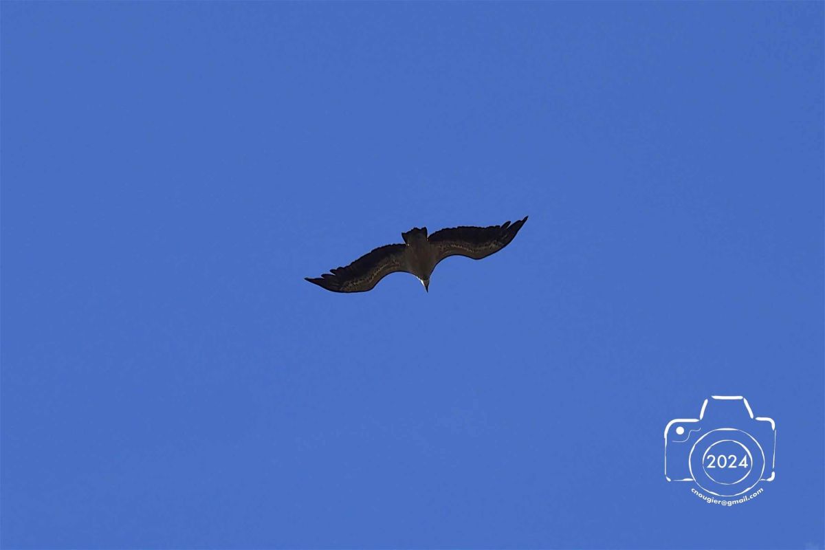 P5121243EM1MARK32024