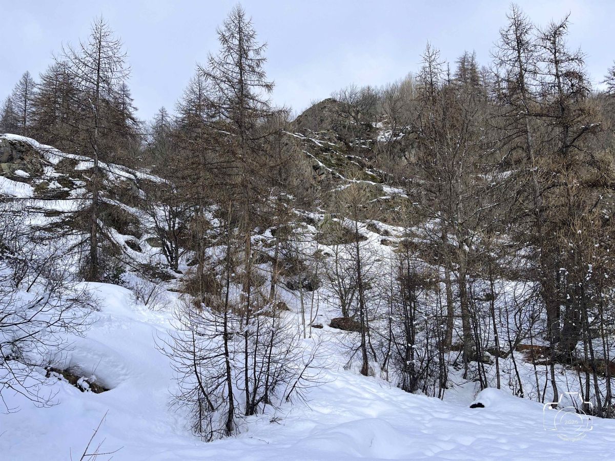IMG2721IPHONE132025