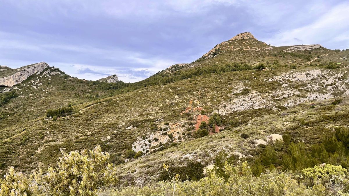 taoume-4