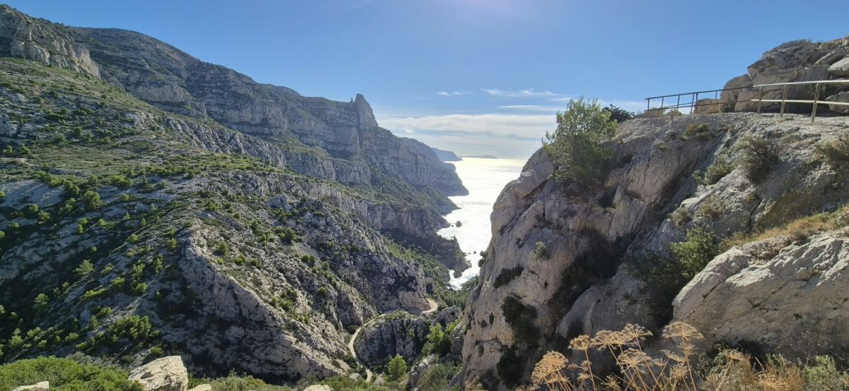Belvedere-Sugiton-10