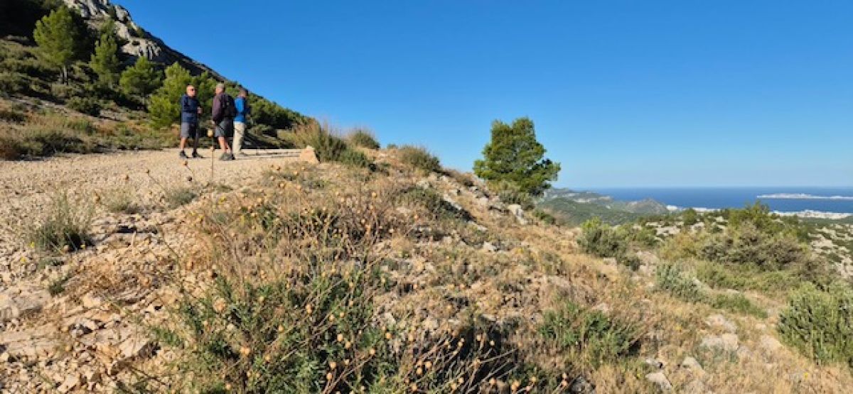 Belvedere-Sugiton-13