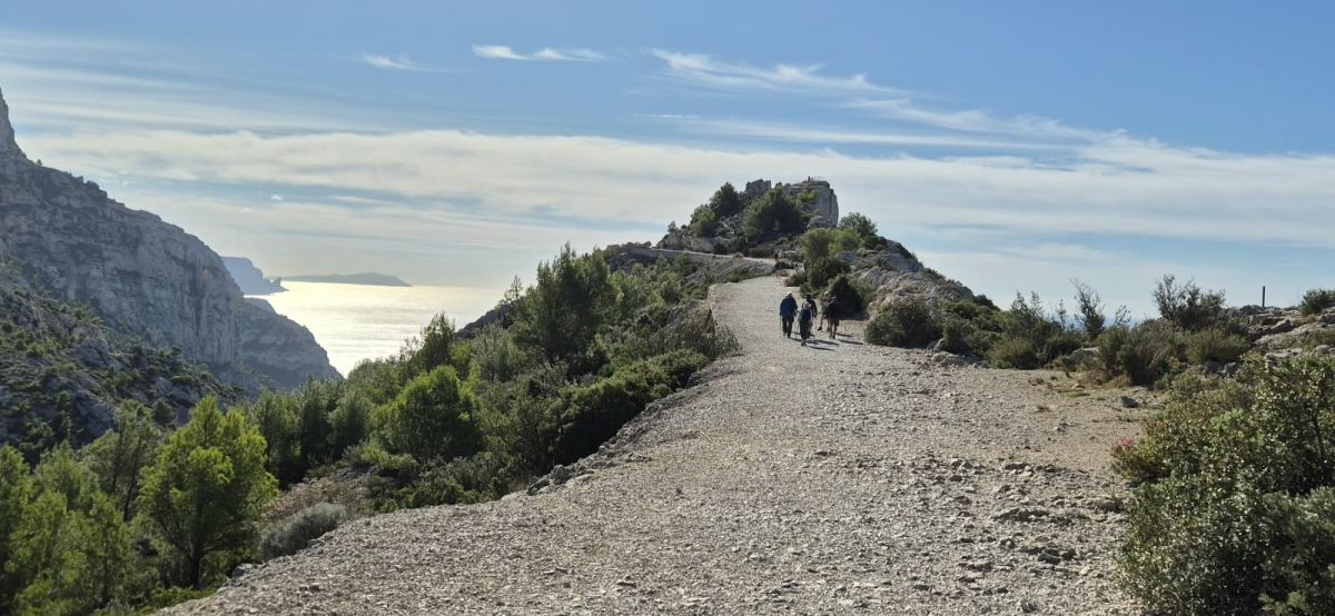 Belvedere-Sugiton-27