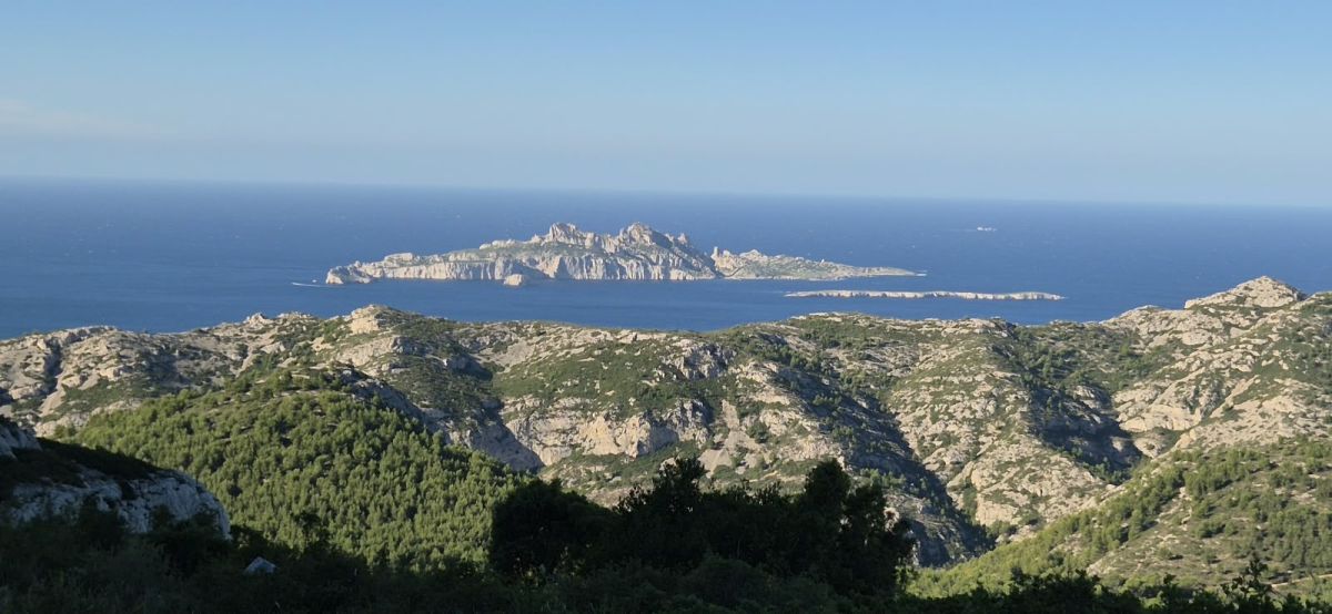 Belvedere-Sugiton-7